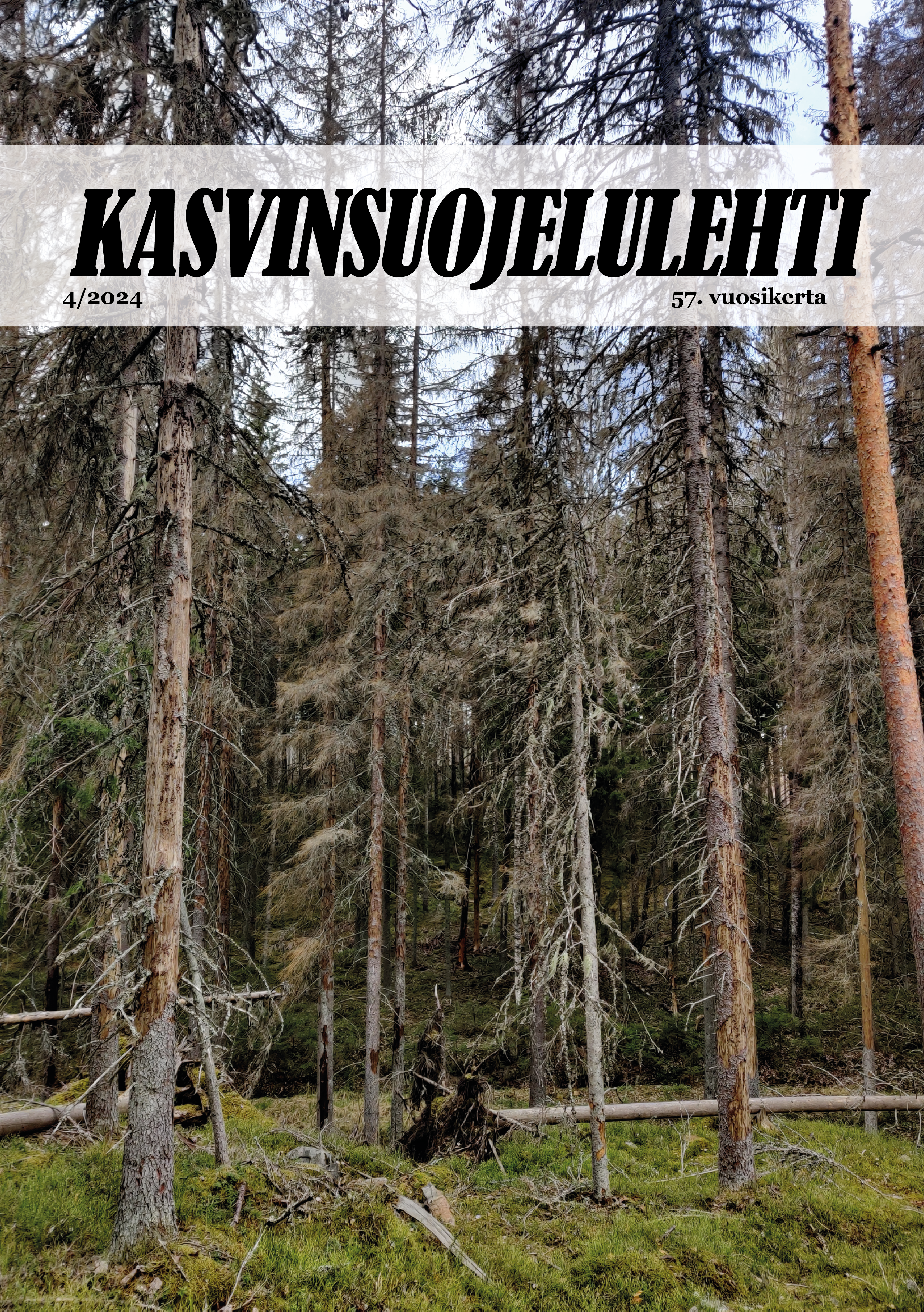 					Näytä Vol 57 Nro 4 (2024): Kasvinsuojelulehti
				